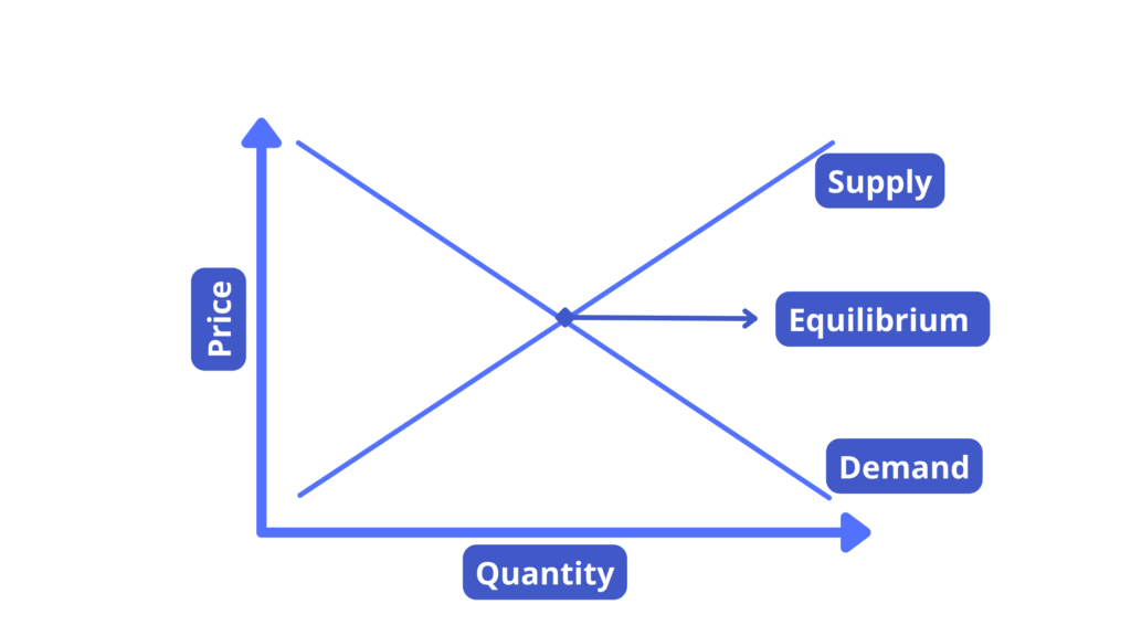 Equilibrium | Demand & Supply