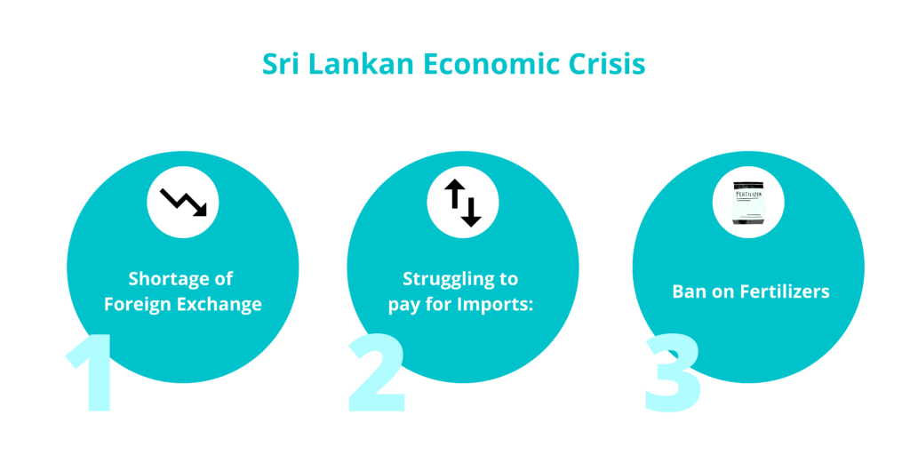 Sri Lanka economic crisis top 3 Reasons - Economy Simplified